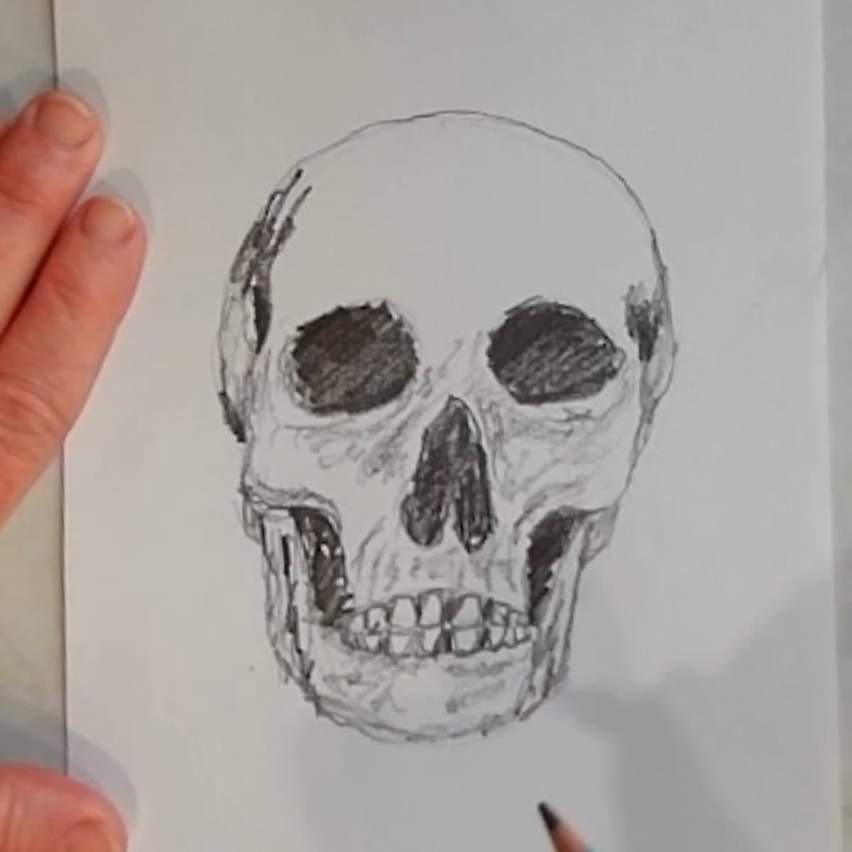 Drawing of a skull with artist drawing loose lines for shading on the chin in pencil. 