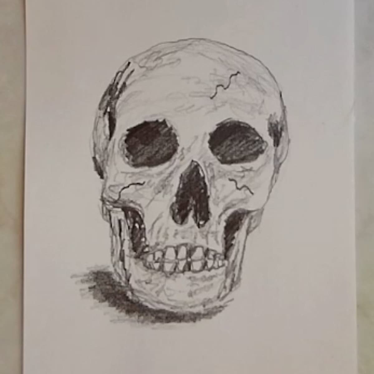 Finished drawing of a skull with with pencil shading under the skull. 