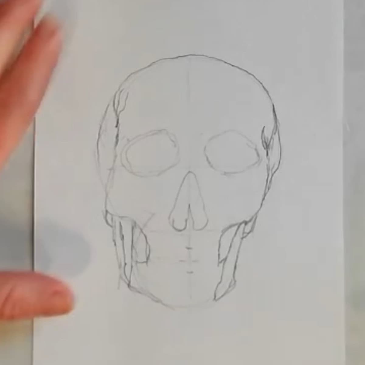 Beginning drawing of a skull with more details in jaw and head. 