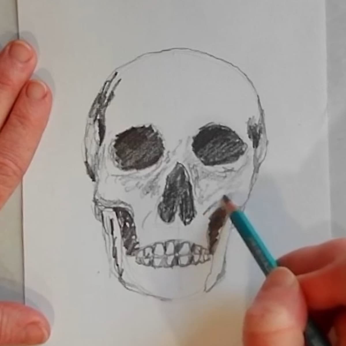 Drawing of a skull with artist drawing loose lines for shading  in the front of the face in pencil. 