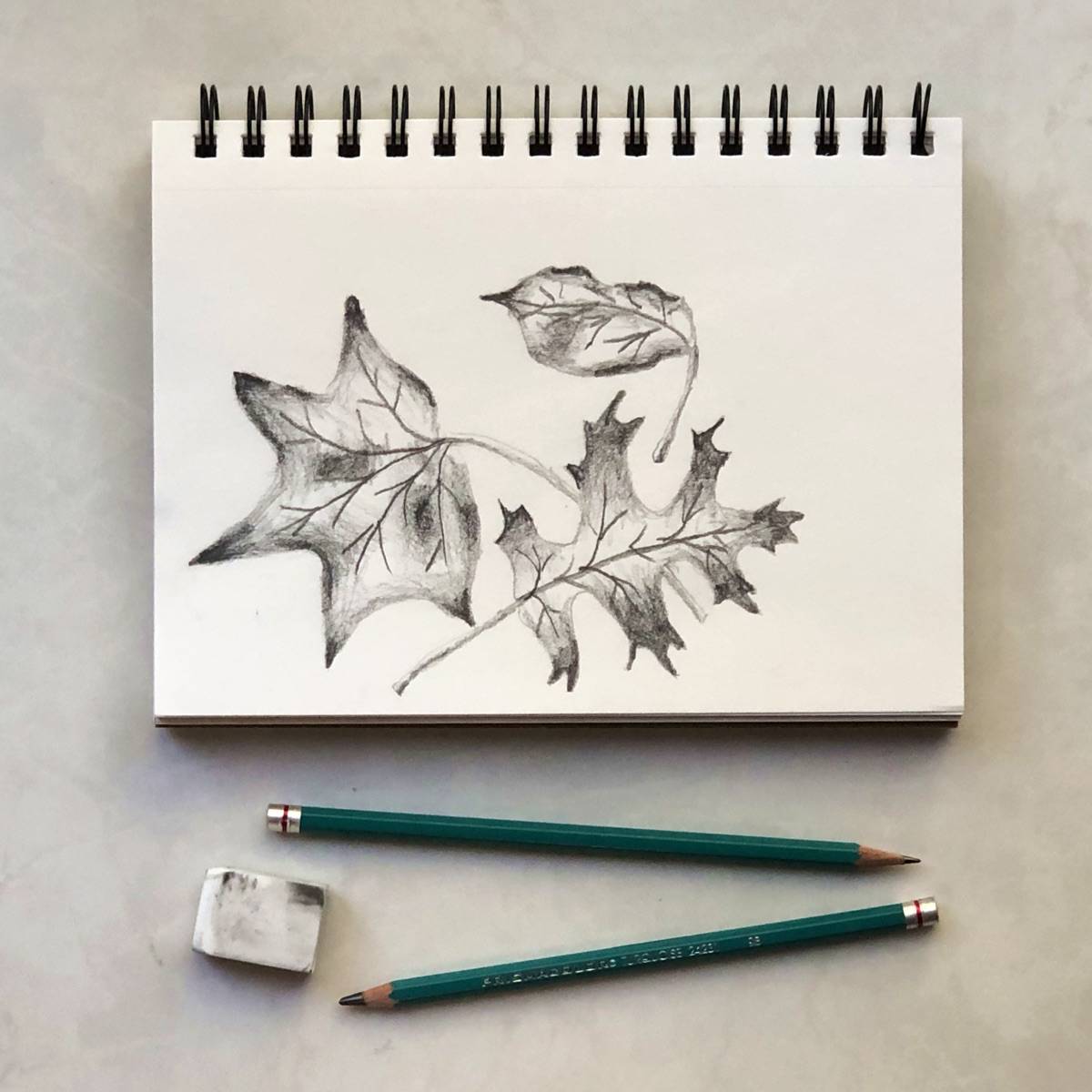 Pencil drawing of fall leaves on a sketch pad with drawing pencils and an eraser.