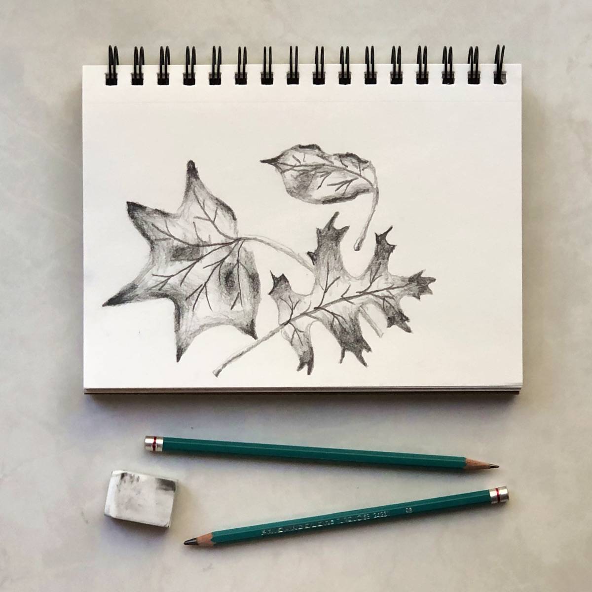 draweasyfallleaves2