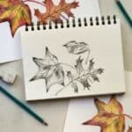 Pencil drawing of fall leaves on a sketch pad next to watercolored paintings of fall leaves with drawing pencils and eraser.