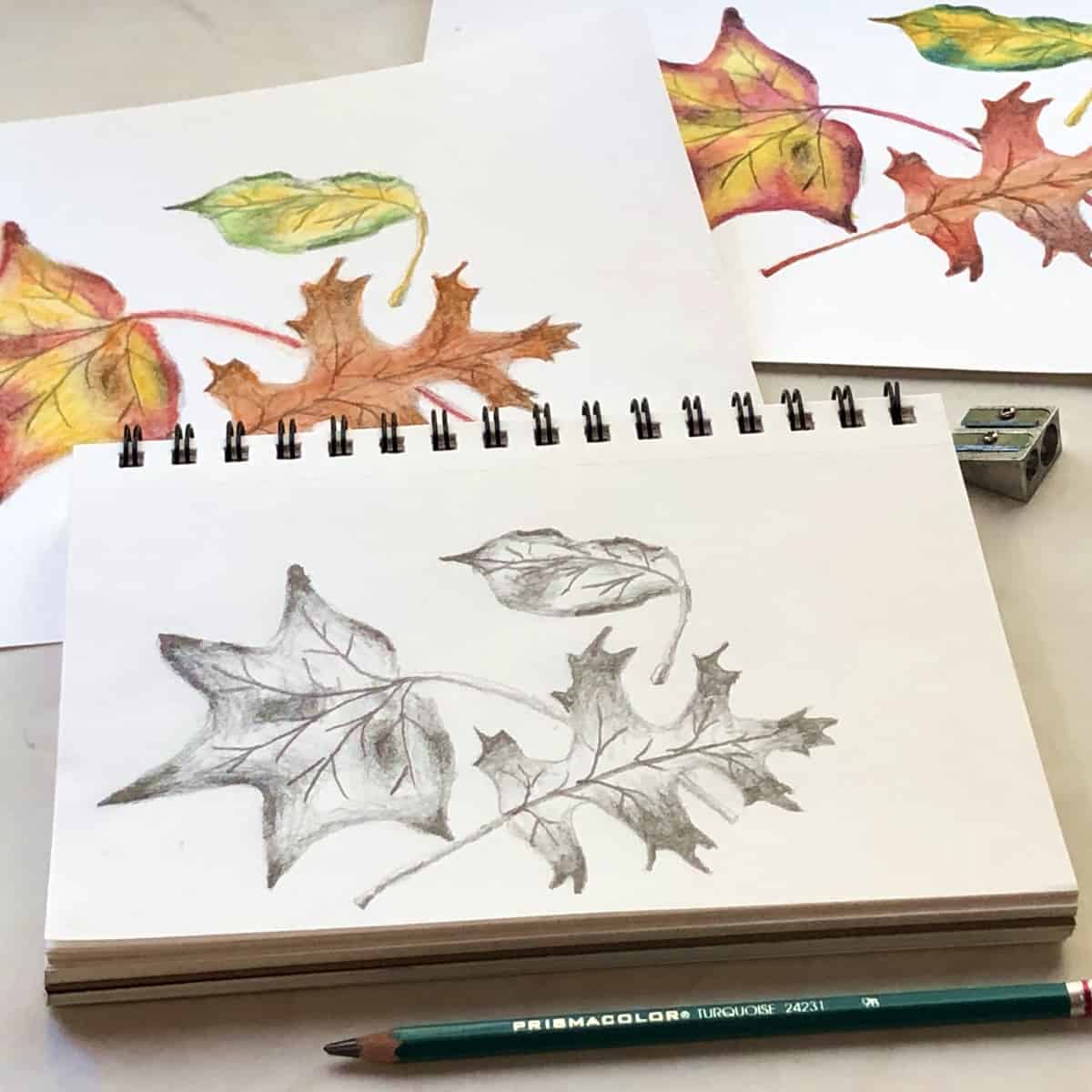 Pencil drawing of fall leaves on a sketch pad with colorful paintings of fall leaves.