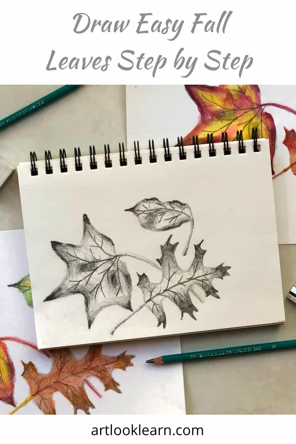 Free: Leaf Drawing For Kids - Clip Art - nohat.cc