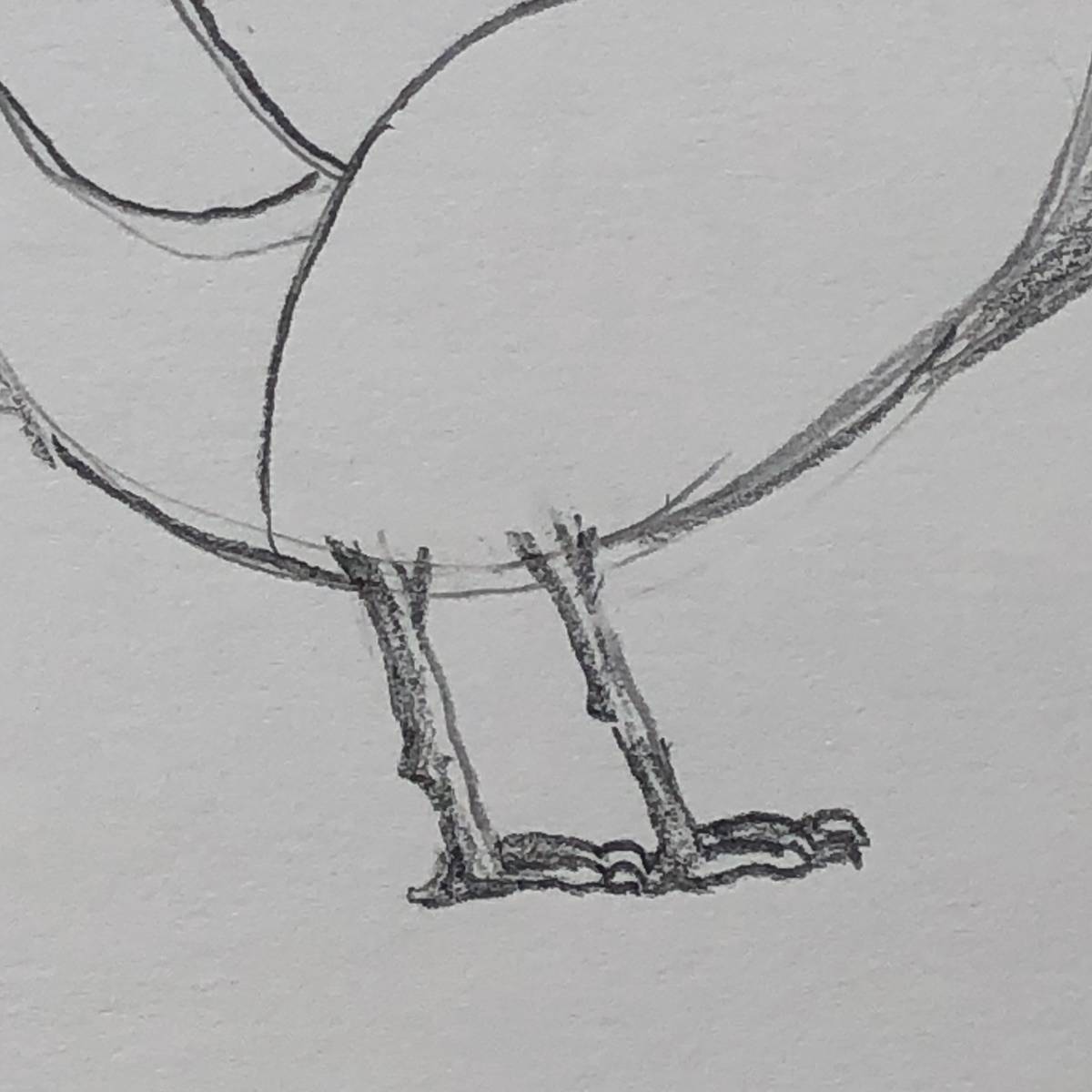 Beginning line-drawing sketch of a turkey, close up on the feet with toes, claws and spur drawn in with shading. 