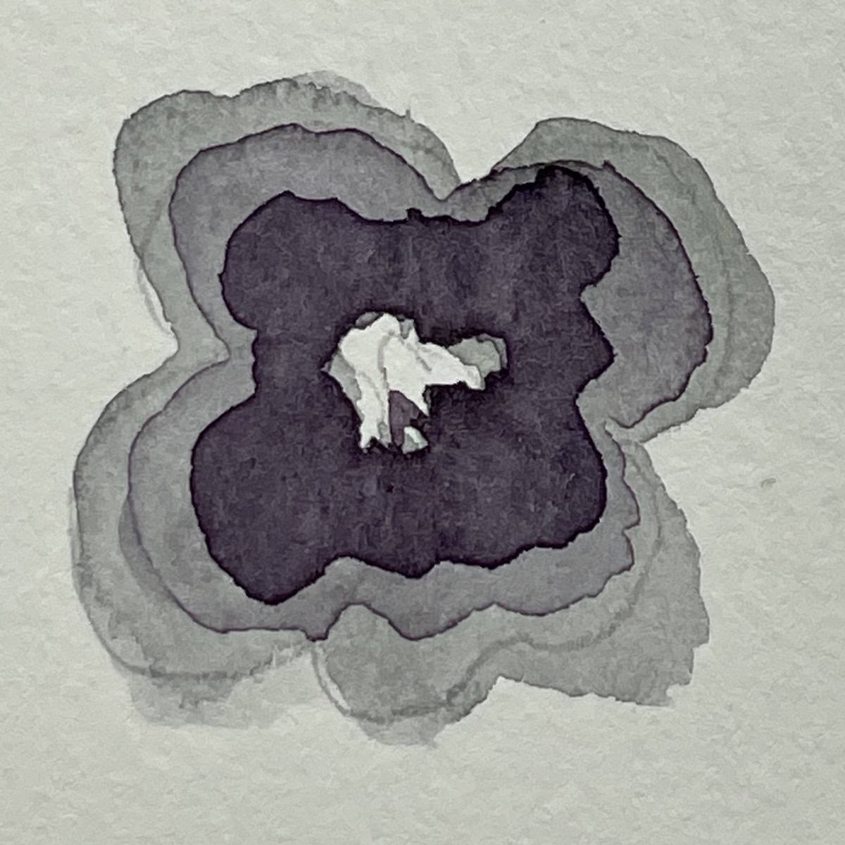 A watercolor painting of a pansy that shows a glazing technique.