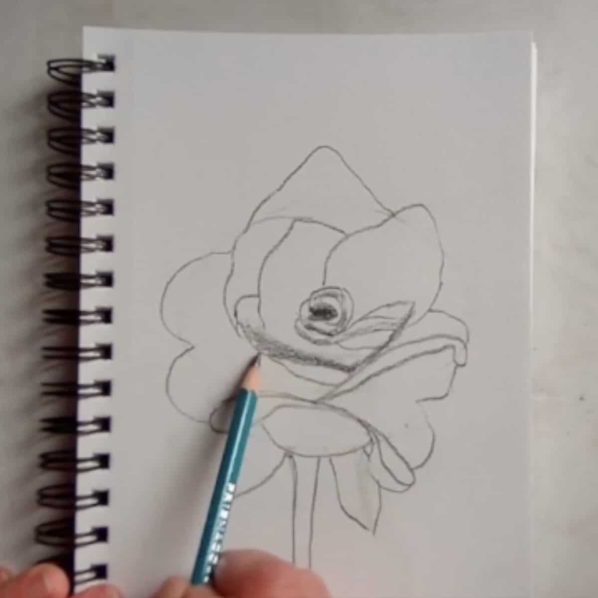 How To Draw Rose - Drawing For Kids - Cool Drawing Idea-saigonsouth.com.vn