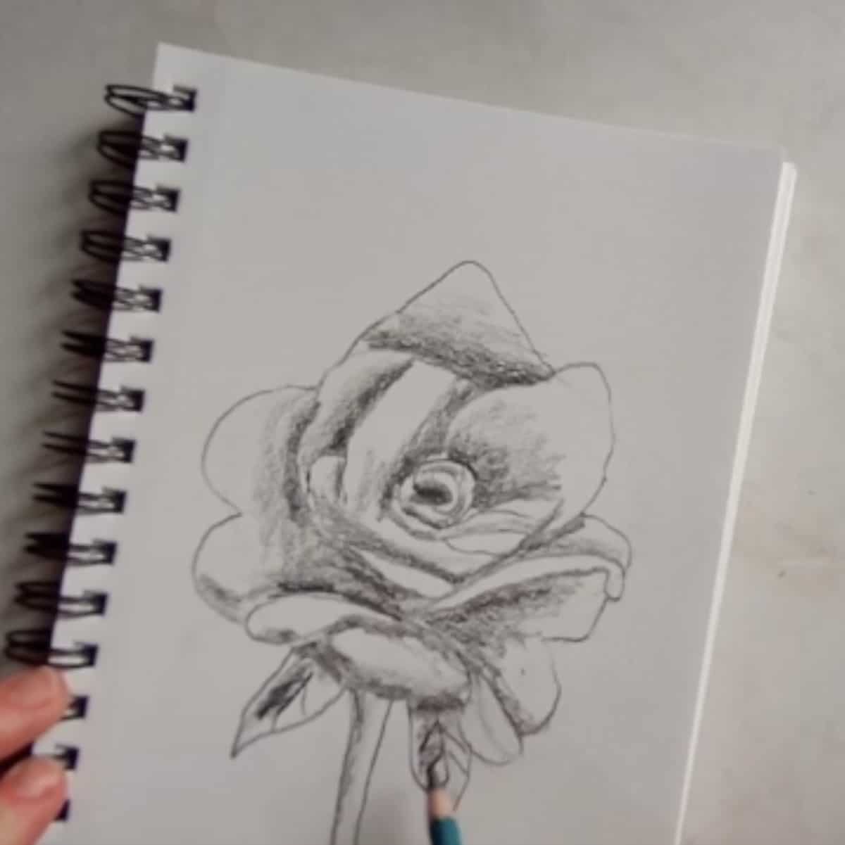 Rose Drawing by LethalChris on DeviantArt