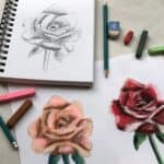 Pencil Sketch of a rose with pink and red pastel drawings of roses with drawing materials