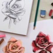 Pencil Sketch of a rose with pink and red pastel drawings of roses with drawing materials