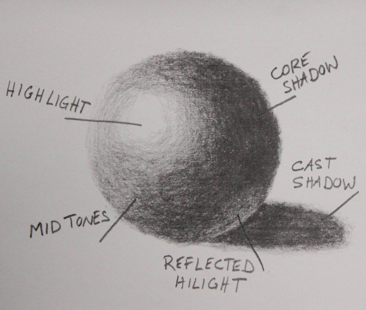 Highlights, mid tones, core shadow, cast shadow and reflected highlights in a diagram of a pencil drawn sphere