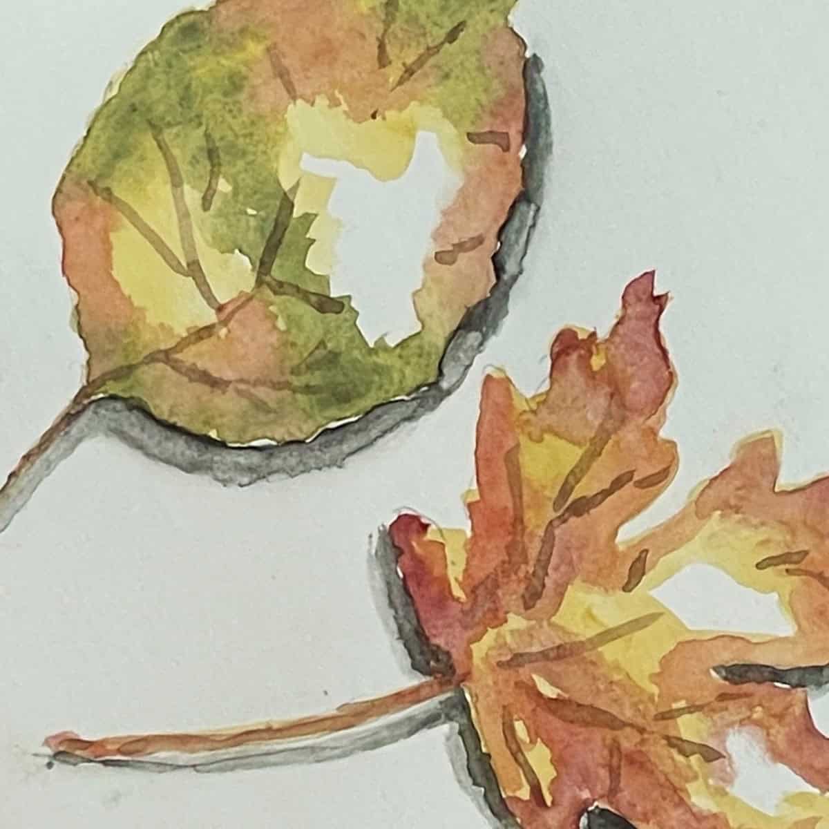 Watercolor painting of two colorful autumn leaves.