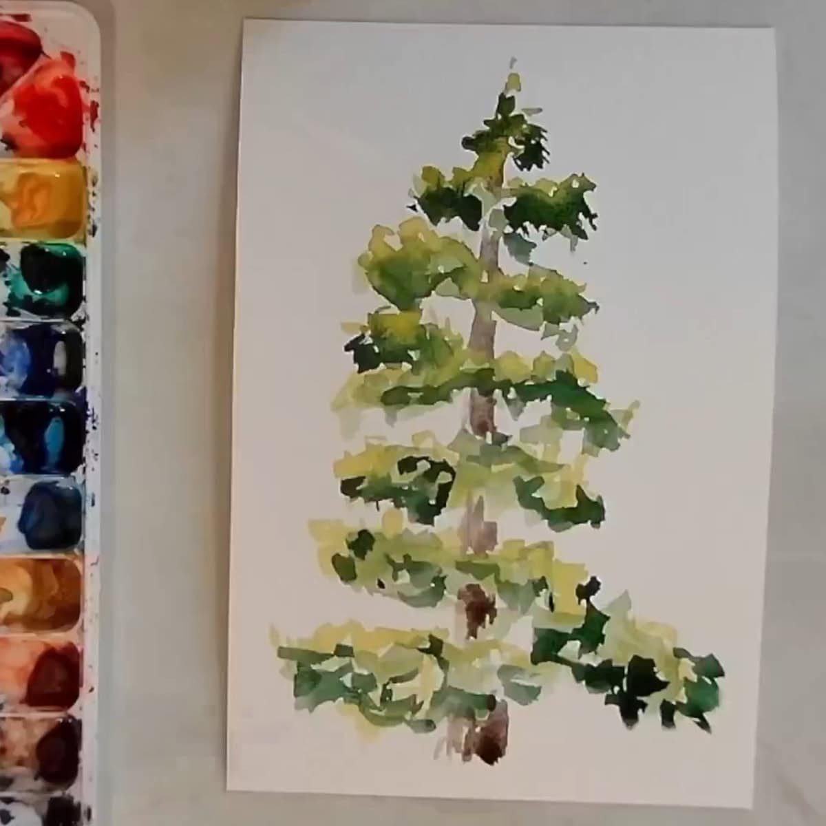 A watercolor painting of a pine tree next to a paint palette.