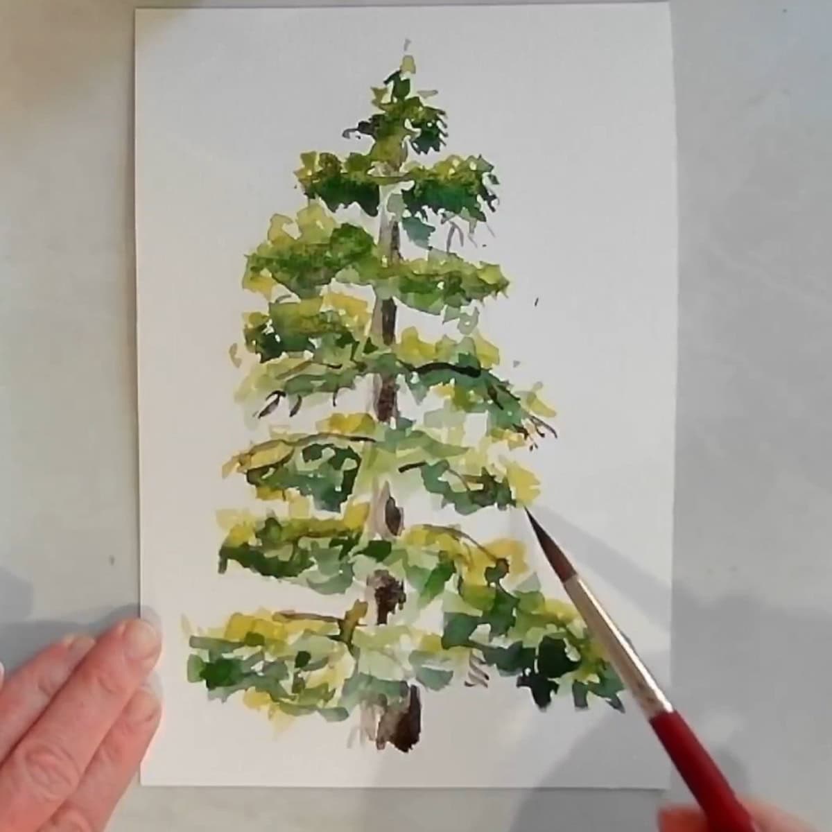 An artist painting green middletones on a watercolor pine tree.