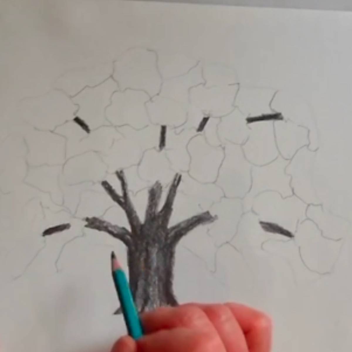 Sketch of shading the trunk, branches, and outside of the tree with the artist's hand and pencil.