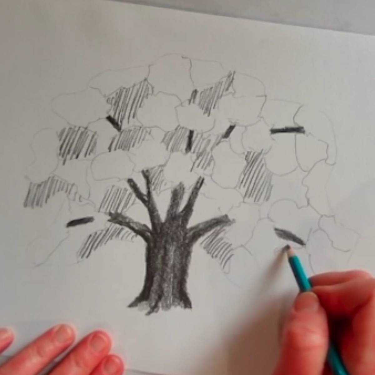 Sketch of a tree with hatching to begin shading with the artist's hands and pencil.