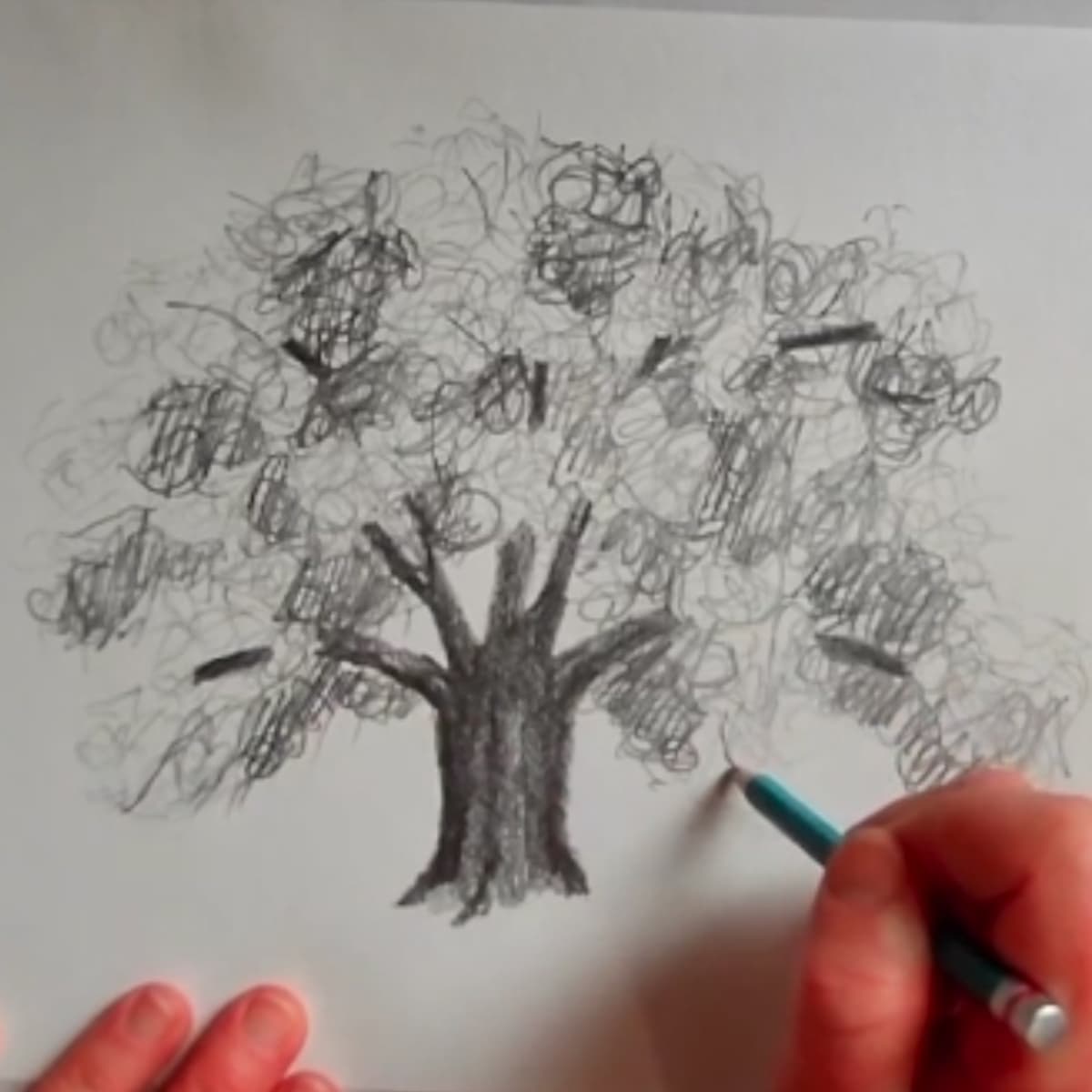 Sketch of a tree with hatching and scribble hatching to shade with the artist's hands and pencil.