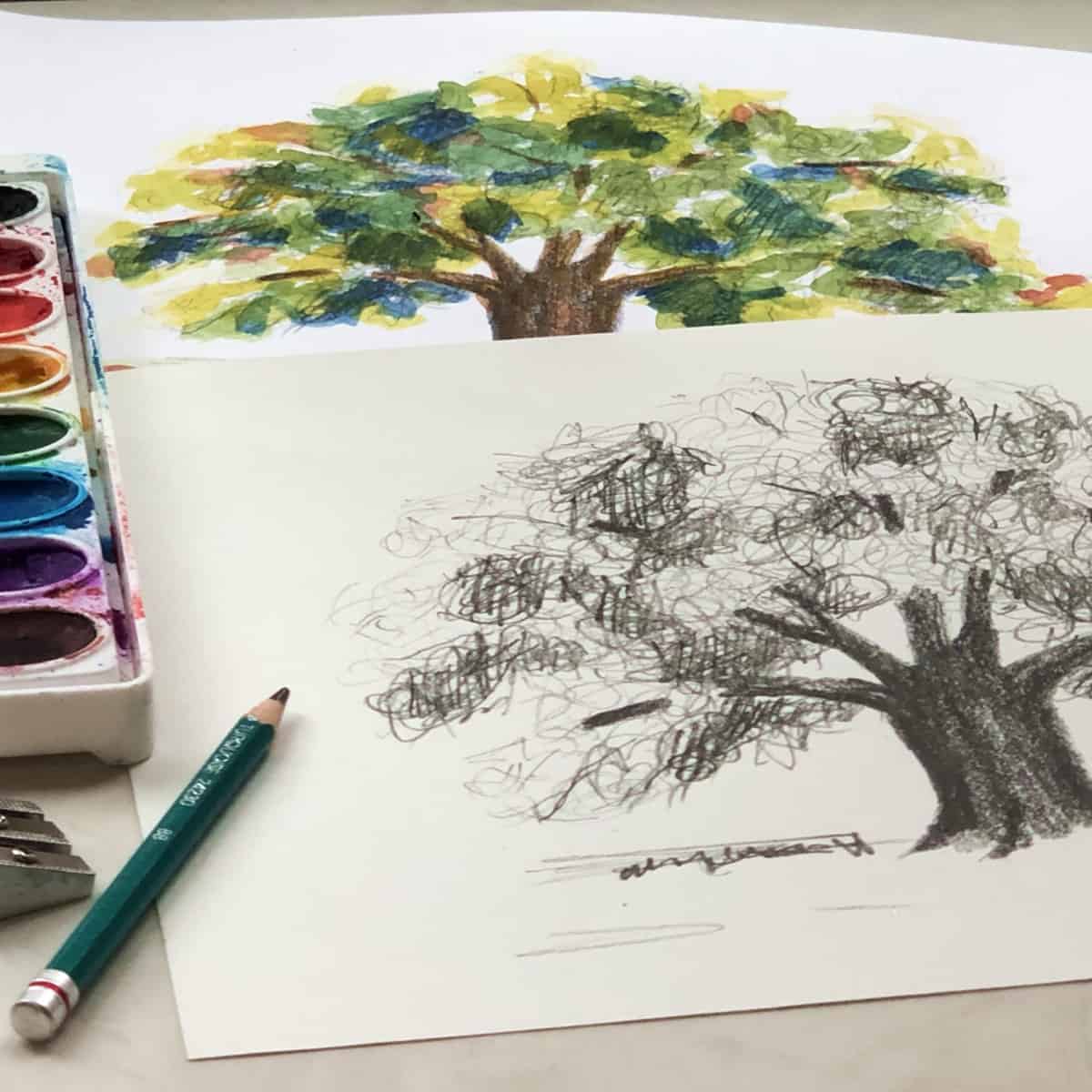 Sketch and watercolor painting of oak trees with a drawing pencil and paint set.