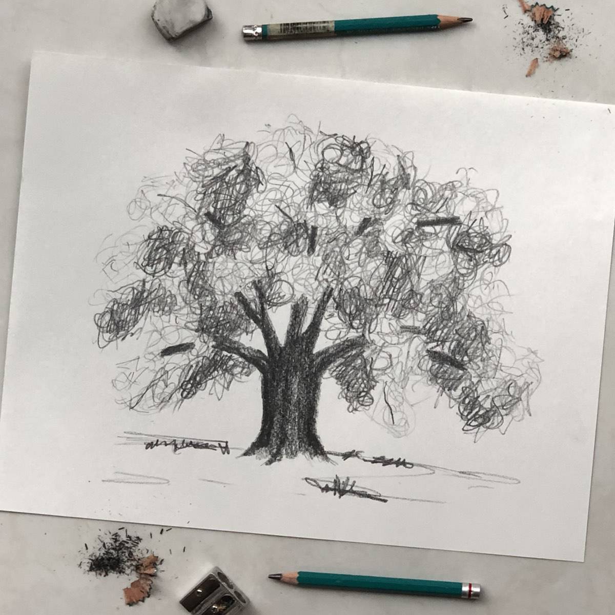 Sketch an Easy Oak Tree Pencil Drawing 