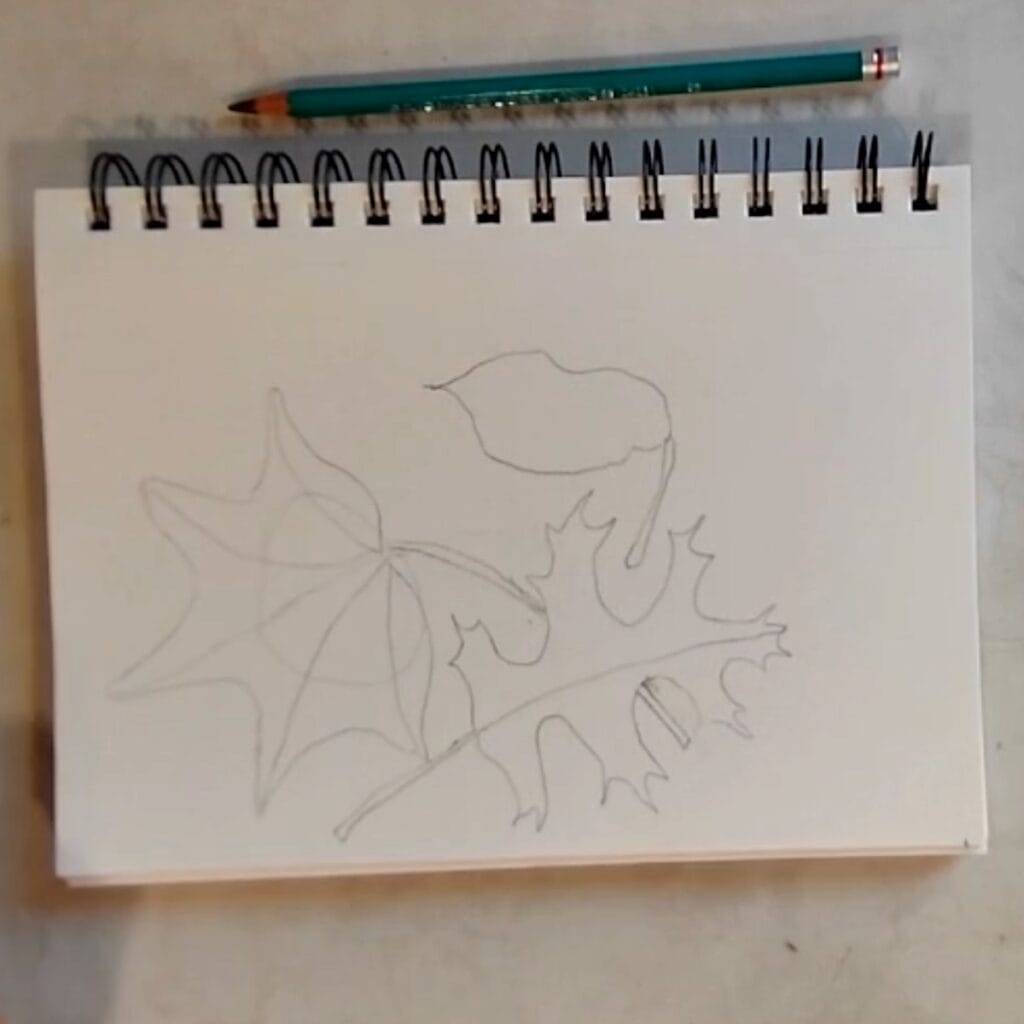 Draw Easy Fall Leaves Step by step (Realistic Autumn Leaf Sketch