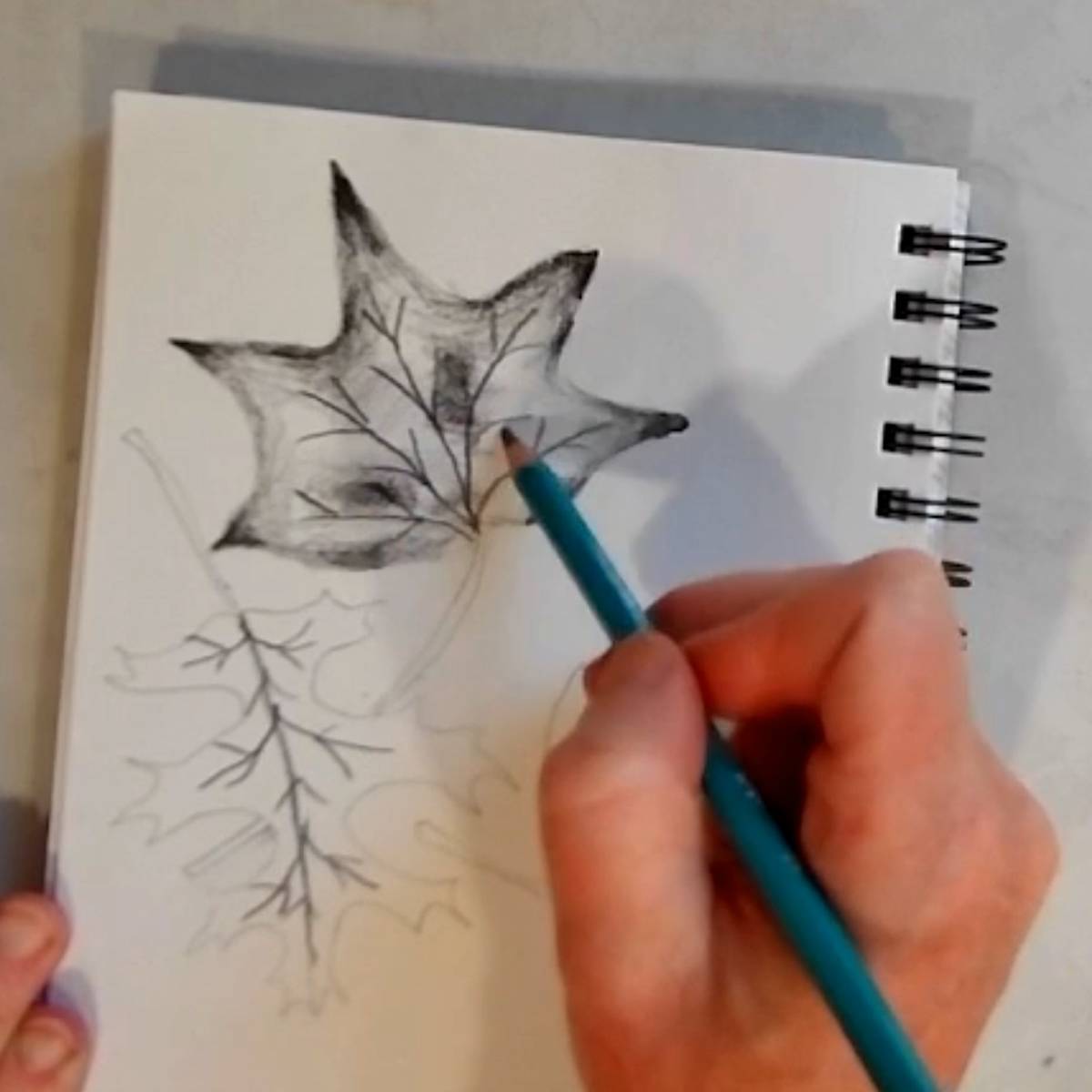 Shading is added to an autumn leaf sketch in pencil by a hand on a spiral-bound drawing notebook.