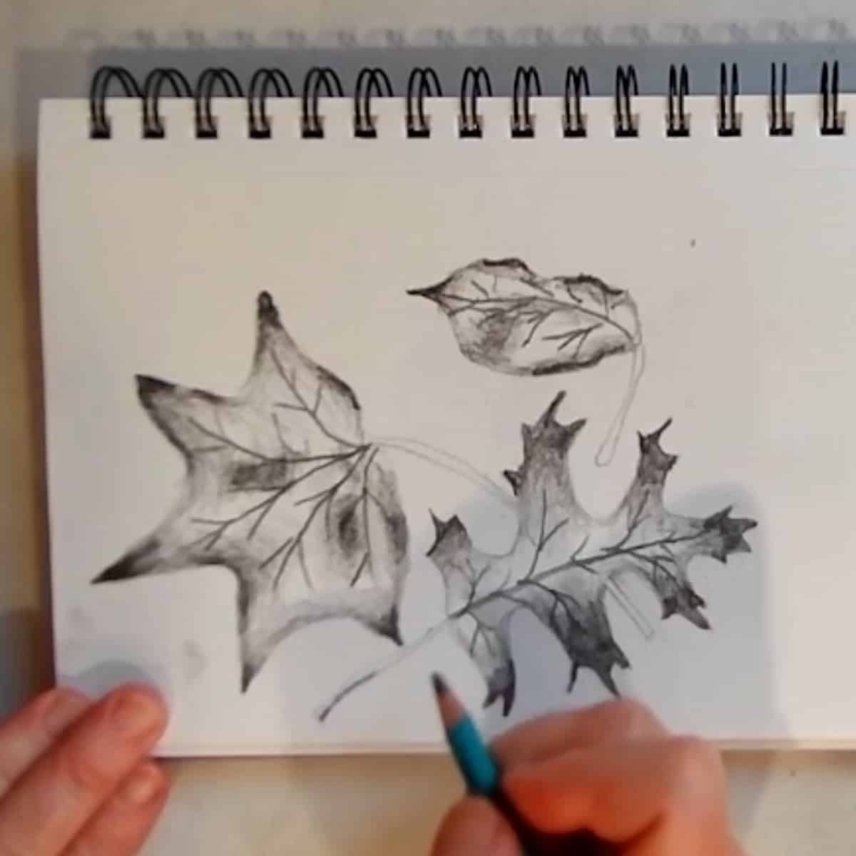 A hand is drawing in the finishing touches of a fall leaf drawing on a spiral sketchpad.