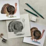 Pencil drawing of a realistic turkey with several watercolor paintings of turkeys with drawing pencils, an eraser, and a pencil sharpener.