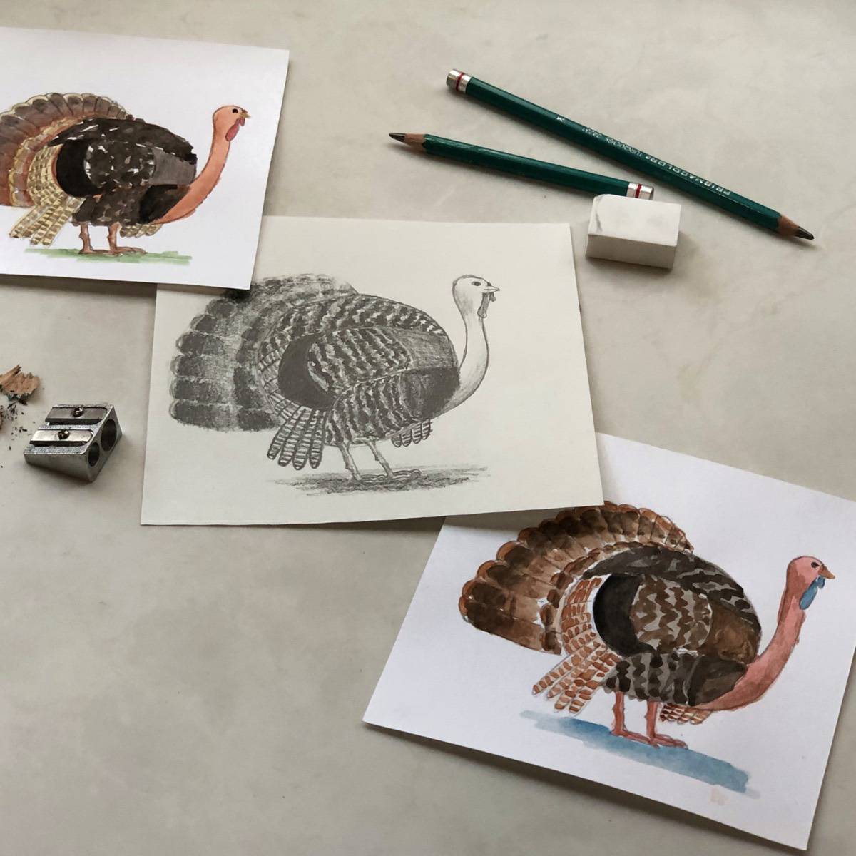 Pencil drawing of a realistic turkey with several watercolor paintings of turkeys with drawing pencils, an eraser, and a pencil sharpener.