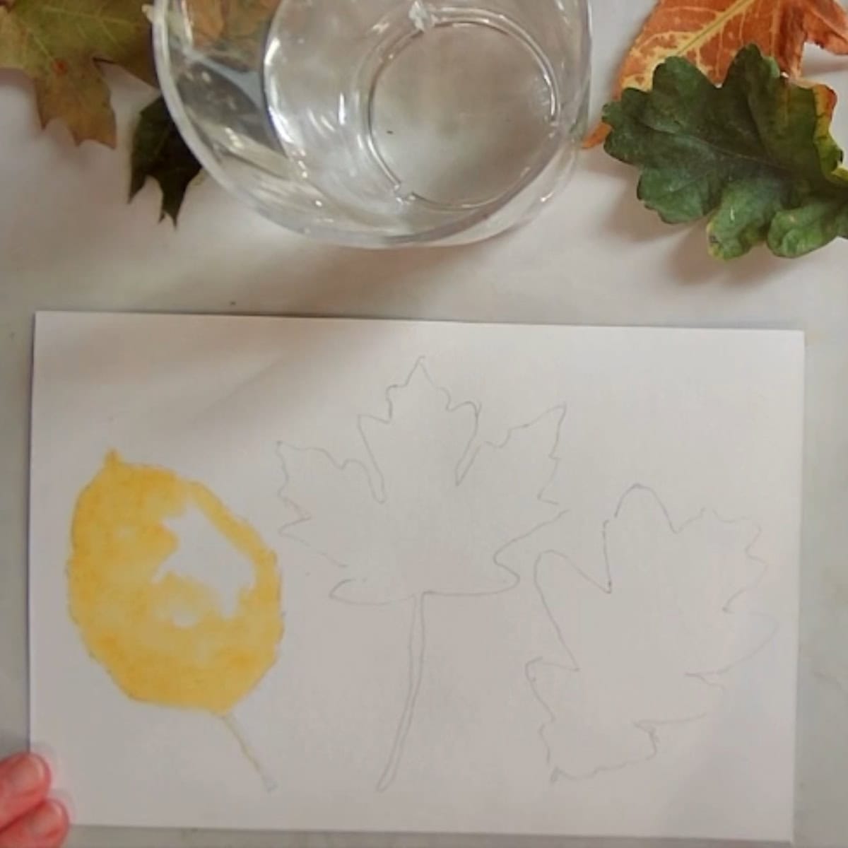 The beginnings of a watercolor painting of fall leaves net to autumn leaves and a cup of water.