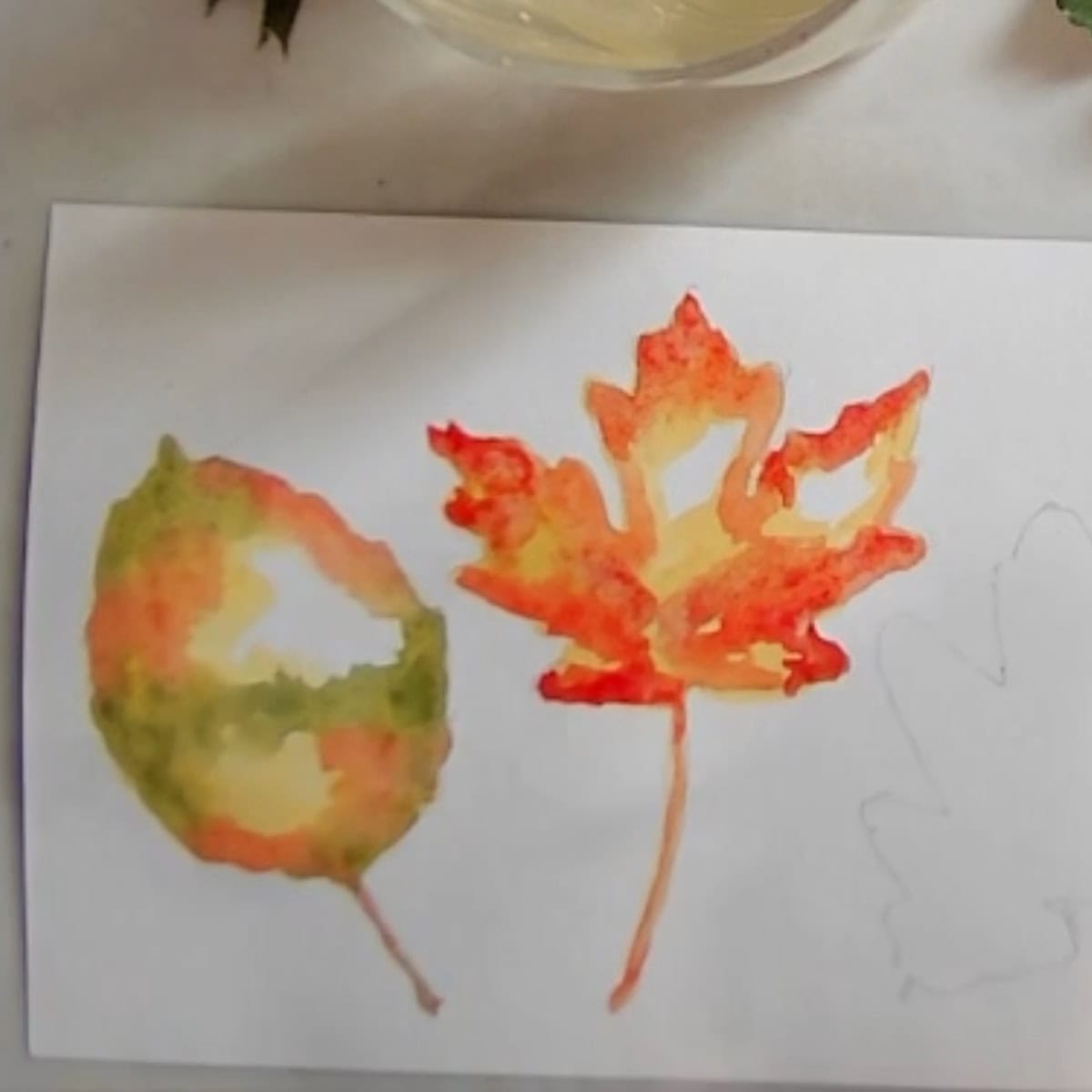 A watercolor painting of two colorful fall leaves.