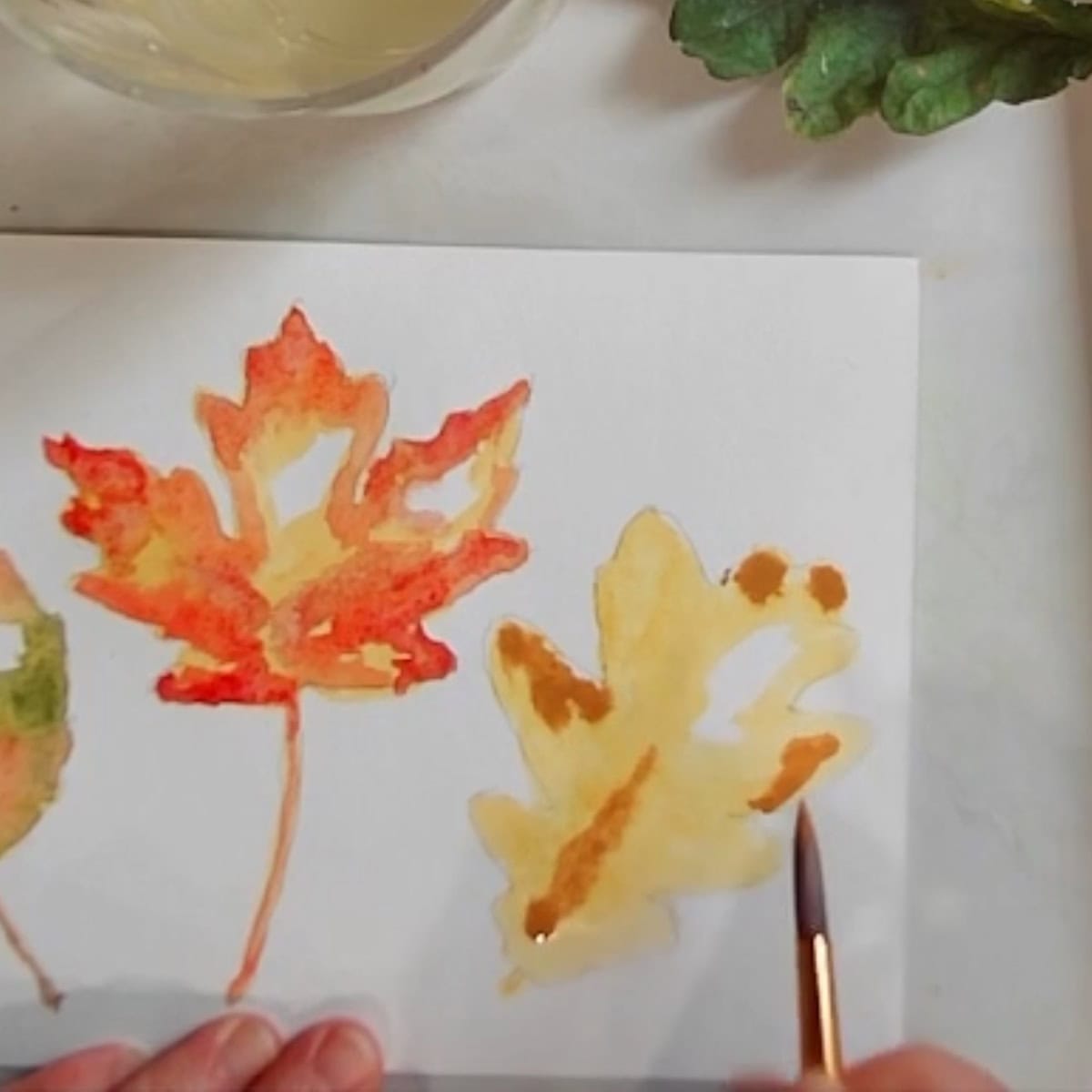 An artist painting an autumn oak leaf in yellow, ocher, and brown watercolor paint.