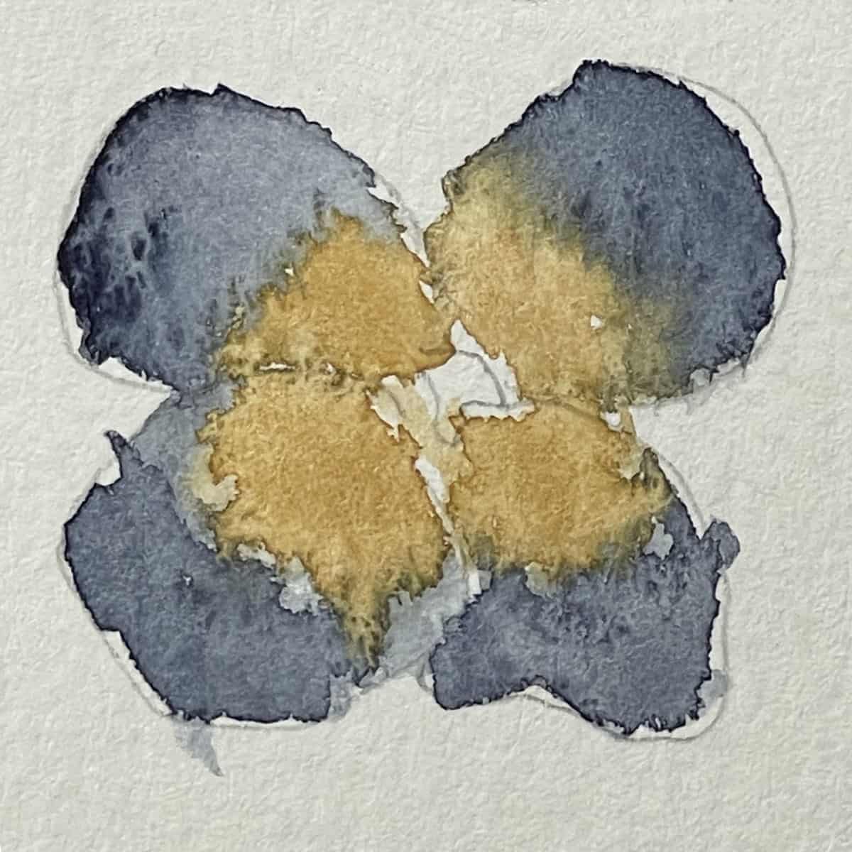 A watercolor painting of a pansy that shows a gradient technique.